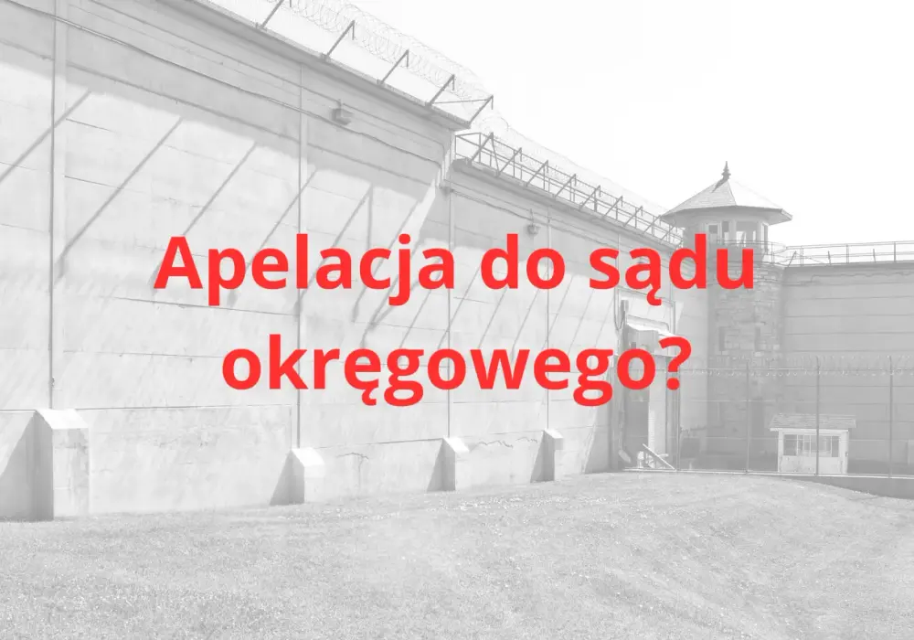 Ile się czeka na apelację? Sprawdź, co wpływa na czas oczekiwania