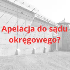 Mur więzienia z drutem kolczastym i wieżyczką strażniczą. Czerwony napis "Apelacja do sądu okręgowego?".