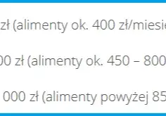 Ile kosztuje pozew o alimenty u adwokata? Sprawdź ukryte opłaty