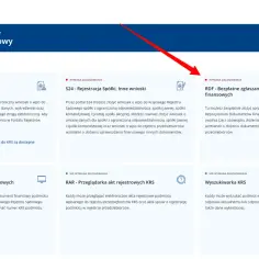 Jak uzyskać wypis z KRS - proste kroki, które ułatwią Ci proces